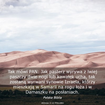Picture 03 - Amosa 3:12 POLUBG - Tak mówi PAN: Jak pasterz wyrywa z lwiej paszczy - Bible Verse Picture