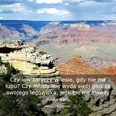 Picture 03 - Amosa 3:4 POLUBG - Czy lew zaryczy w lesie, gdy nie ma łupu? Czy - Bible Verse Picture