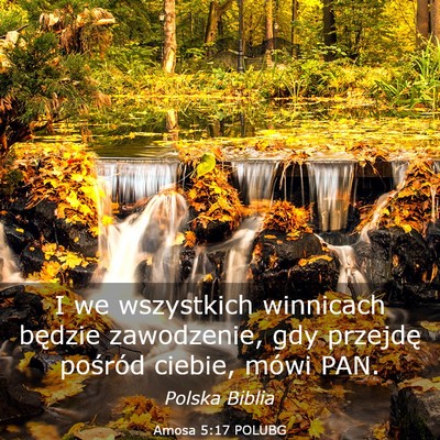 Picture 03 - Amosa 5:17 POLUBG - I we wszystkich winnicach będzie zawodzenie, gdy - Bible Verse Picture