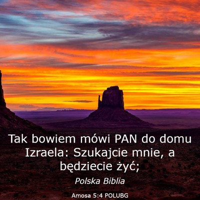 Picture 03 - Amosa 5:4 POLUBG - Tak bowiem mówi PAN do domu Izraela: Szukajcie - Bible Verse Picture