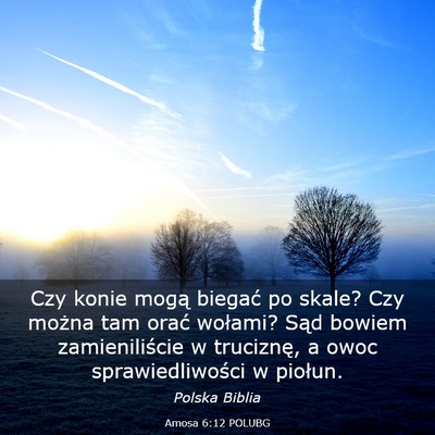 Picture 03 - Amosa 6:12 POLUBG - Czy konie mogą biegać po skale? Czy można tam - Bible Verse Picture