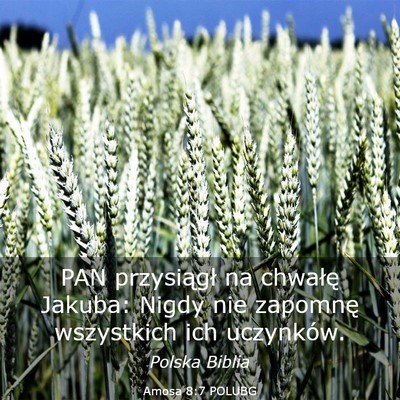 Picture 03 - Amosa 8:7 POLUBG - PAN przysiągł na chwałę Jakuba: Nigdy nie - Bible Verse Picture
