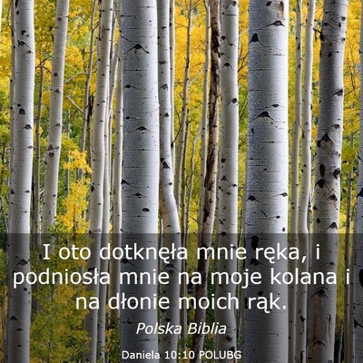 Picture 03 - Daniela 10:10 POLUBG - I oto dotknęła mnie ręka, i podniosła mnie na - Bible Verse Picture