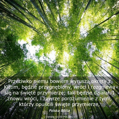 Picture 03 - Daniela 11:30 POLUBG - Przeciwko niemu bowiem wyruszą okręty z Kittim, - Bible Verse Picture