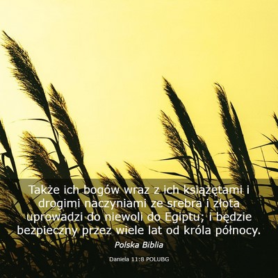 Picture 03 - Daniela 11:8 POLUBG - Także ich bogów wraz z ich książętami i - Bible Verse Picture