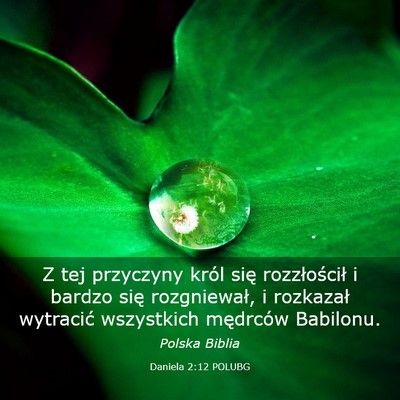 Picture 03 - Daniela 2:12 POLUBG - Z tej przyczyny król się rozzłościł i bardzo - Bible Verse Picture