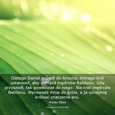 Picture 03 - Daniela 2:24 POLUBG - Dlatego Daniel wszedł do Ariocha, którego król - Bible Verse Picture