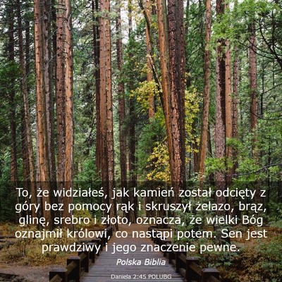 Picture 03 - Daniela 2:45 POLUBG - To, że widziałeś, jak kamień został odcięty - Bible Verse Picture