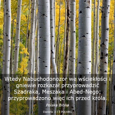 Picture 03 - Daniela 3:13 POLUBG - Wtedy Nabuchodonozor we wściekłości i gniewie - Bible Verse Picture