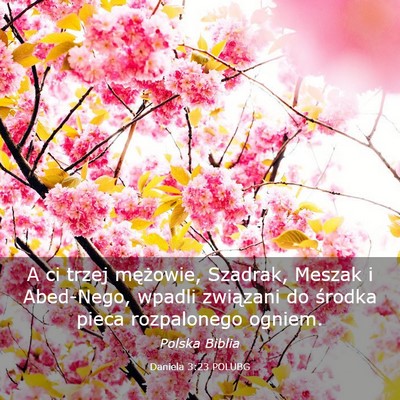 Picture 03 - Daniela 3:23 POLUBG - A ci trzej mężowie, Szadrak, Meszak i - Bible Verse Picture