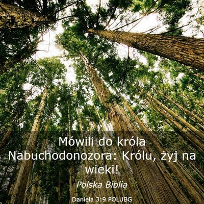Picture 03 - Daniela 3:9 POLUBG - Mówili do króla Nabuchodonozora: Królu, żyj - Bible Verse Picture