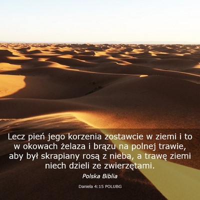 Picture 03 - Daniela 4:15 POLUBG - Lecz pień jego korzenia zostawcie w ziemi i to w - Bible Verse Picture
