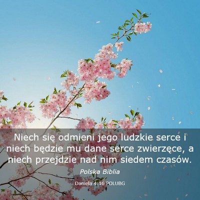 Picture 03 - Daniela 4:16 POLUBG - Niech się odmieni jego ludzkie serce i niech - Bible Verse Picture
