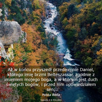 Picture 03 - Daniela 4:8 POLUBG - Aż w końcu przyszedł przede mnie Daniel, - Bible Verse Picture