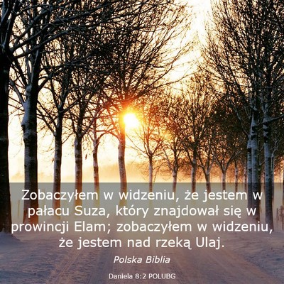 Picture 03 - Daniela 8:2 POLUBG - Zobaczyłem w widzeniu, że jestem w pałacu - Bible Verse Picture