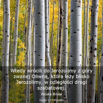 Picture 03 - Dzieje 1:12 POLUBG - Wtedy wrócili do Jerozolimy z góry zwanej - Bible Verse Picture