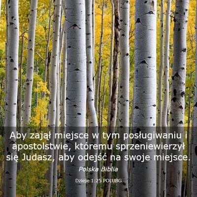 Picture 03 - Dzieje 1:25 POLUBG - Aby zajął miejsce w tym posługiwaniu i - Bible Verse Picture