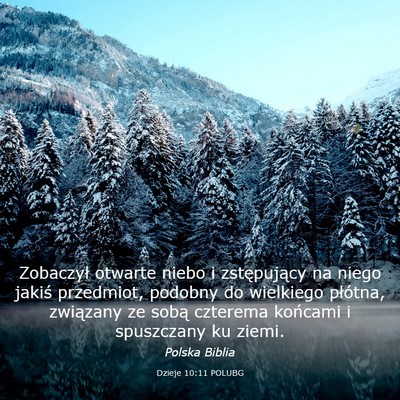 Picture 03 - Dzieje 10:11 POLUBG - Zobaczył otwarte niebo i zstępujący na niego - Bible Verse Picture