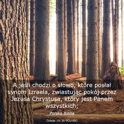 Picture 03 - Dzieje 10:36 POLUBG - A jeśli chodzi o słowo, które posłał synom - Bible Verse Picture