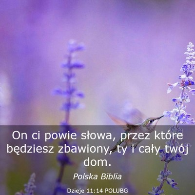 Picture 03 - Dzieje 11:14 POLUBG - On ci powie słowa, przez które będziesz - Bible Verse Picture