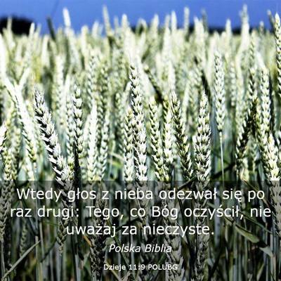Picture 03 - Dzieje 11:9 POLUBG - Wtedy głos z nieba odezwał się po raz drugi: - Bible Verse Picture