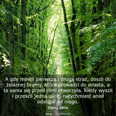 Picture 03 - Dzieje 12:10 POLUBG - A gdy minęli pierwszą i drugą straż, doszli - Bible Verse Picture
