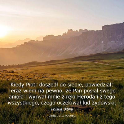 Picture 03 - Dzieje 12:11 POLUBG - Kiedy Piotr doszedł do siebie, powiedział: - Bible Verse Picture