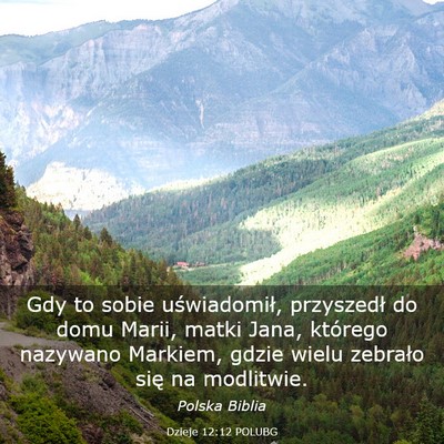 Picture 03 - Dzieje 12:12 POLUBG - Gdy to sobie uświadomił, przyszedł do domu - Bible Verse Picture