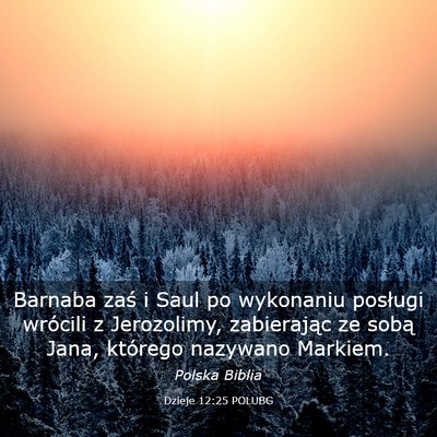 Picture 03 - Dzieje 12:25 POLUBG - Barnaba zaś i Saul po wykonaniu posługi - Bible Verse Picture