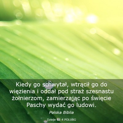 Picture 03 - Dzieje 12:4 POLUBG - Kiedy go schwytał, wtrącił go do więzienia i - Bible Verse Picture