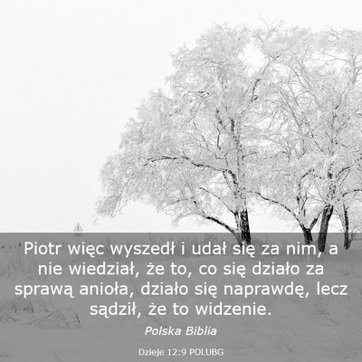 Picture 03 - Dzieje 12:9 POLUBG - Piotr więc wyszedł i udał się za nim, a nie - Bible Verse Picture