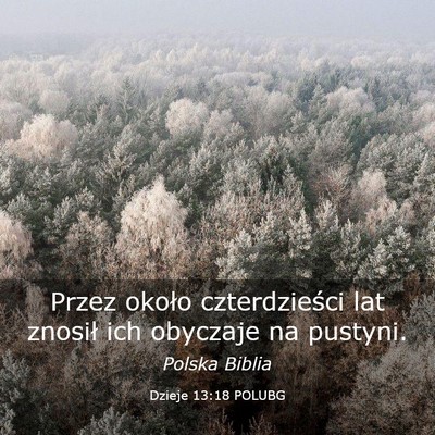 Picture 03 - Dzieje 13:18 POLUBG - Przez około czterdzieści lat znosił ich - Bible Verse Picture