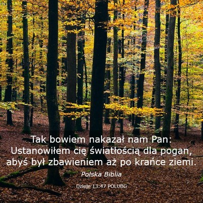 Picture 03 - Dzieje 13:47 POLUBG - Tak bowiem nakazał nam Pan: Ustanowiłem cię - Bible Verse Picture