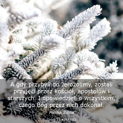 Picture 03 - Dzieje 15:4 POLUBG - A gdy przybyli do Jerozolimy, zostali przyjęci - Bible Verse Picture