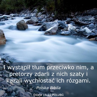Picture 03 - Dzieje 16:22 POLUBG - I wystąpił tłum przeciwko nim, a pretorzy - Bible Verse Picture