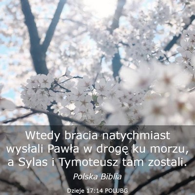 Picture 03 - Dzieje 17:14 POLUBG - Wtedy bracia natychmiast wysłali Pawła w drogę - Bible Verse Picture