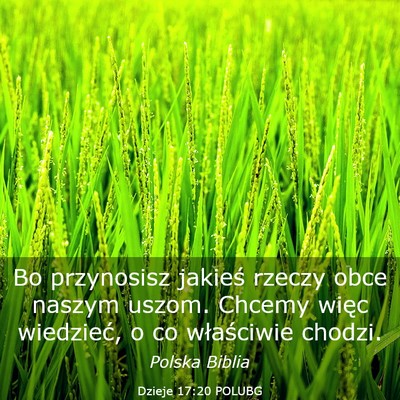 Picture 03 - Dzieje 17:20 POLUBG - Bo przynosisz jakieś rzeczy obce naszym uszom. - Bible Verse Picture