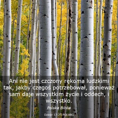 Picture 03 - Dzieje 17:25 POLUBG - Ani nie jest czczony rękoma ludzkimi tak, jakby - Bible Verse Picture