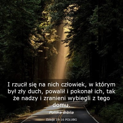 Picture 03 - Dzieje 19:16 POLUBG - I rzucił się na nich człowiek, w którym był - Bible Verse Picture