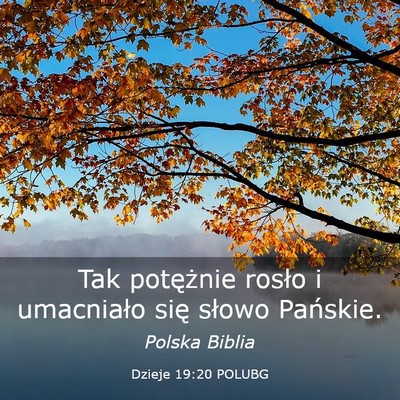 Picture 03 - Dzieje 19:20 POLUBG - Tak potężnie rosło i umacniało się słowo - Bible Verse Picture