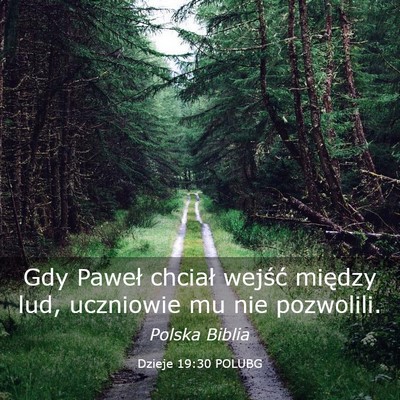 Picture 03 - Dzieje 19:30 POLUBG - Gdy Paweł chciał wejść między lud, uczniowie - Bible Verse Picture