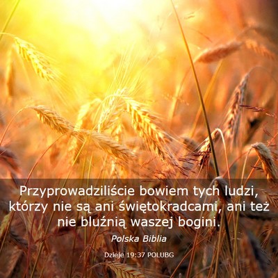 Picture 03 - Dzieje 19:37 POLUBG - Przyprowadziliście bowiem tych ludzi, którzy - Bible Verse Picture