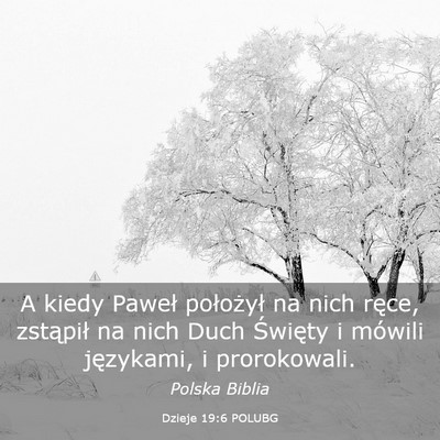 Picture 03 - Dzieje 19:6 POLUBG - A kiedy Paweł położył na nich ręce, - Bible Verse Picture