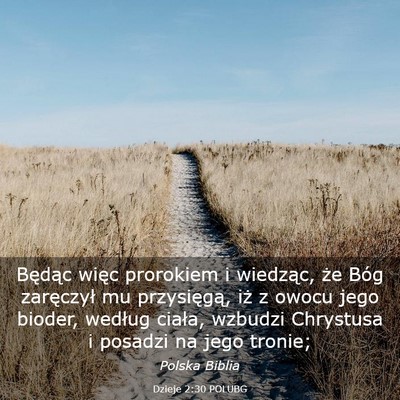 Picture 03 - Dzieje 2:30 POLUBG - Będąc więc prorokiem i wiedząc, że Bóg - Bible Verse Picture