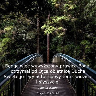 Picture 03 - Dzieje 2:33 POLUBG - Będąc więc wywyższony prawicą Boga, - Bible Verse Picture
