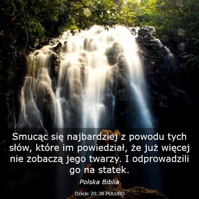 Picture 03 - Dzieje 20:38 POLUBG - Smucąc się najbardziej z powodu tych słów, - Bible Verse Picture