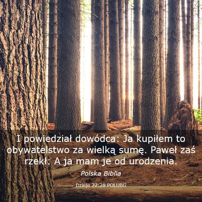 Picture 03 - Dzieje 22:28 POLUBG - I powiedział dowódca: Ja kupiłem to - Bible Verse Picture