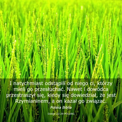 Picture 03 - Dzieje 22:29 POLUBG - I natychmiast odstąpili od niego ci, którzy - Bible Verse Picture
