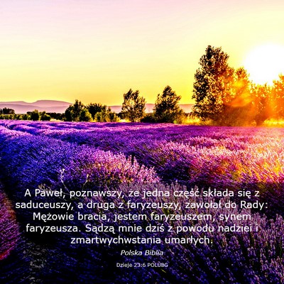 Picture 03 - Dzieje 23:6 POLUBG - A Paweł, poznawszy, że jedna część składa - Bible Verse Picture