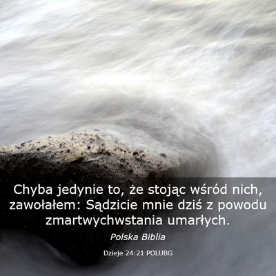 Picture 03 - Dzieje 24:21 POLUBG - Chyba jedynie to, że stojąc wśród nich, - Bible Verse Picture